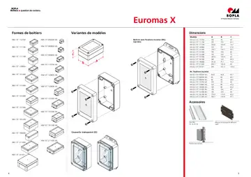 Euromas X